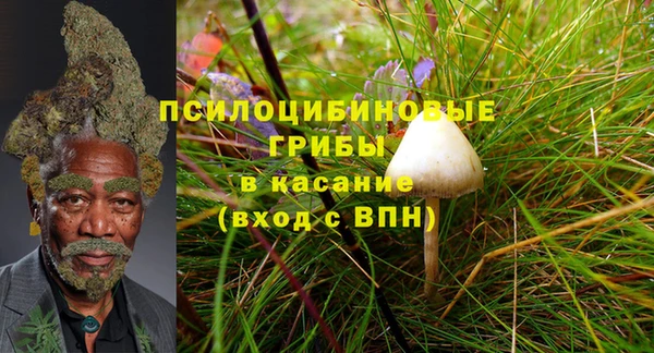СК Лихославль