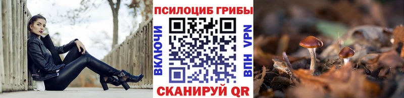 Псилоцибиновые грибы прущие грибы  Купить где  Котельниково 