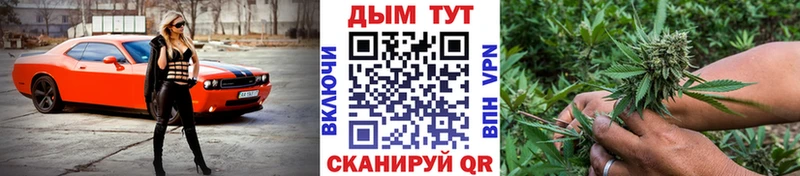Купить где  Котельниково  Бошки Шишки SATIVA & INDICA 